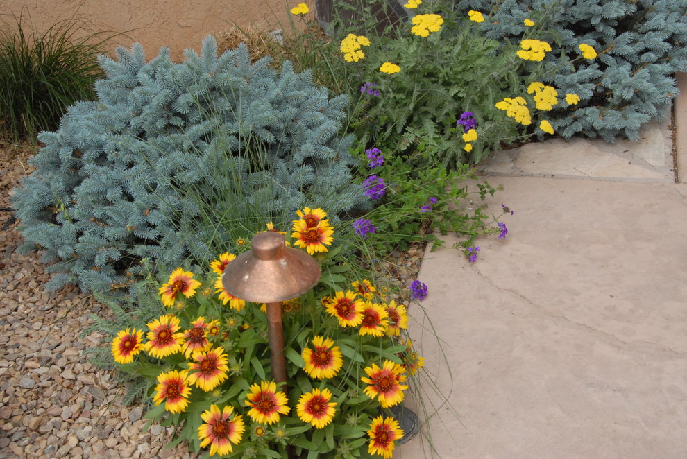 Design ideas for a garden in Albuquerque.