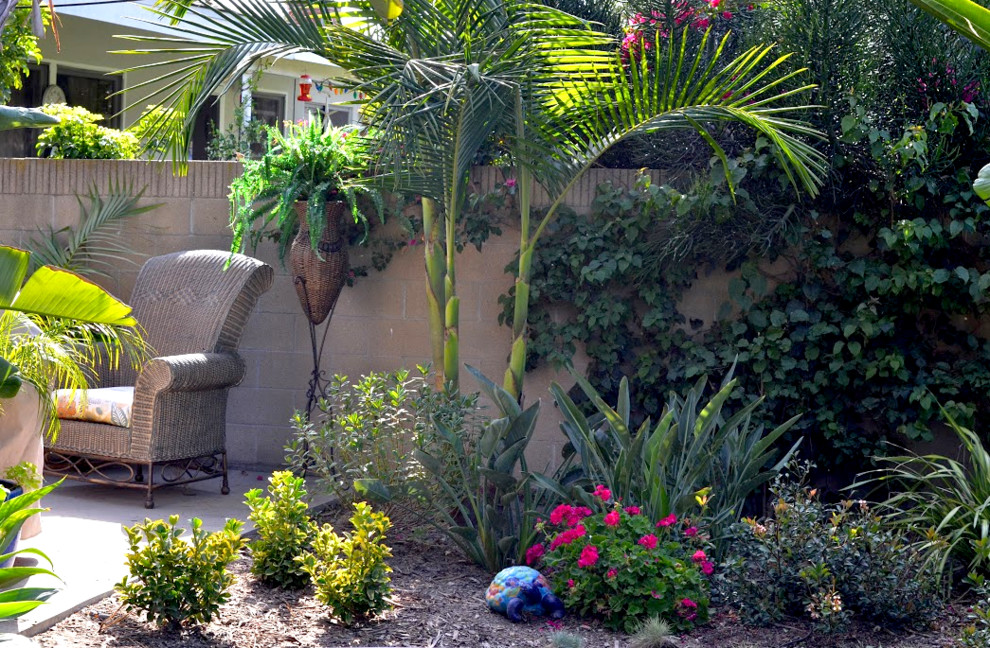 Esempio di un giardino xeriscape mediterraneo esposto a mezz'ombra di medie dimensioni e dietro casa in primavera con un ingresso o sentiero e pacciame