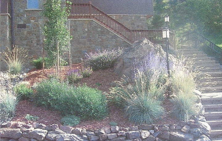 Design ideas for an eclectic landscaping in Denver.