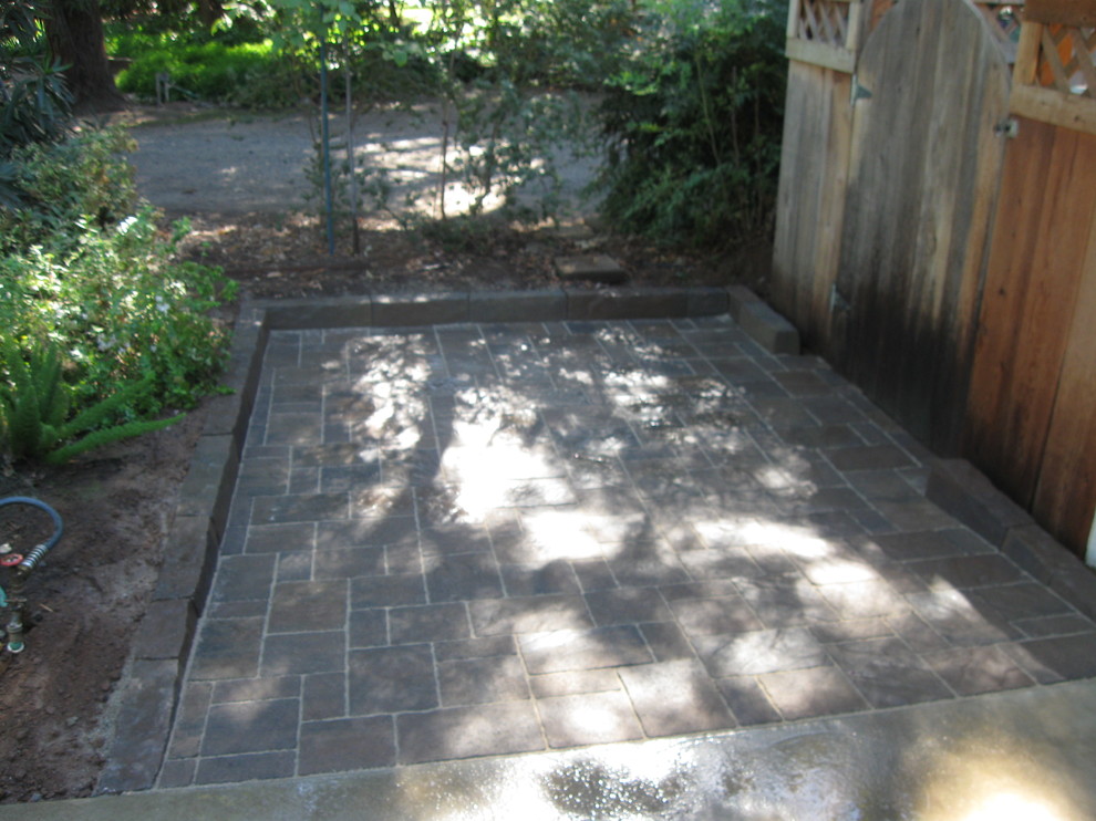 Inspiration for a small shade concrete paver garden path in Other.