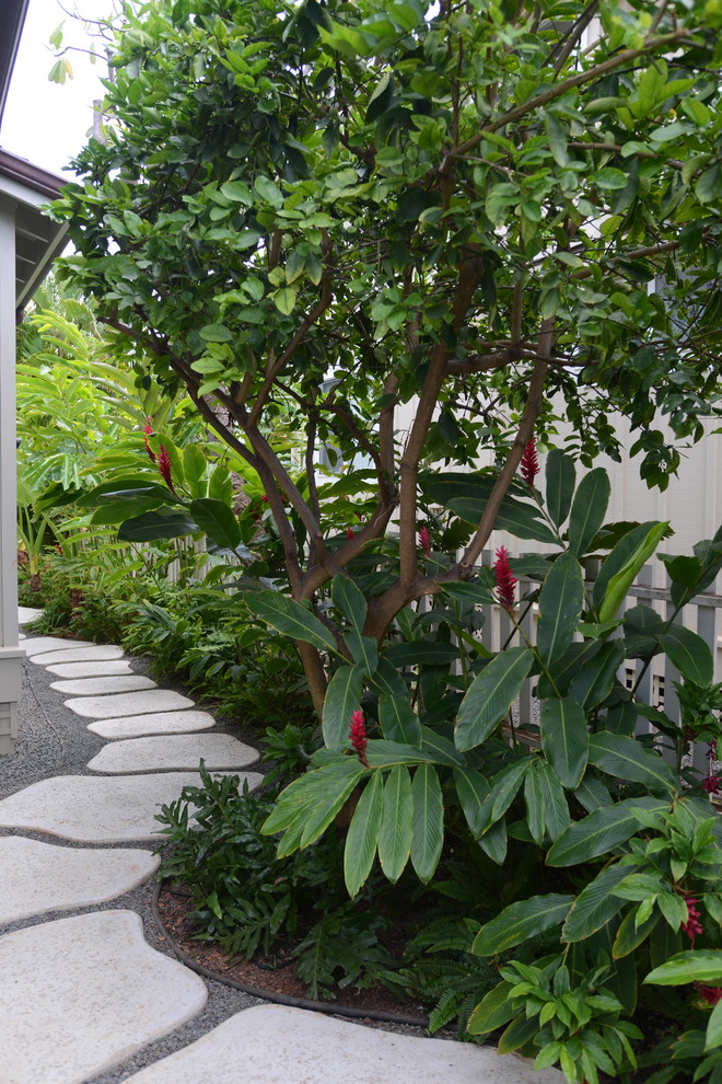 Foto de camino de jardín tropical de tamaño medio en verano en patio lateral con adoquines de hormigón, exposición parcial al sol y jardín francés