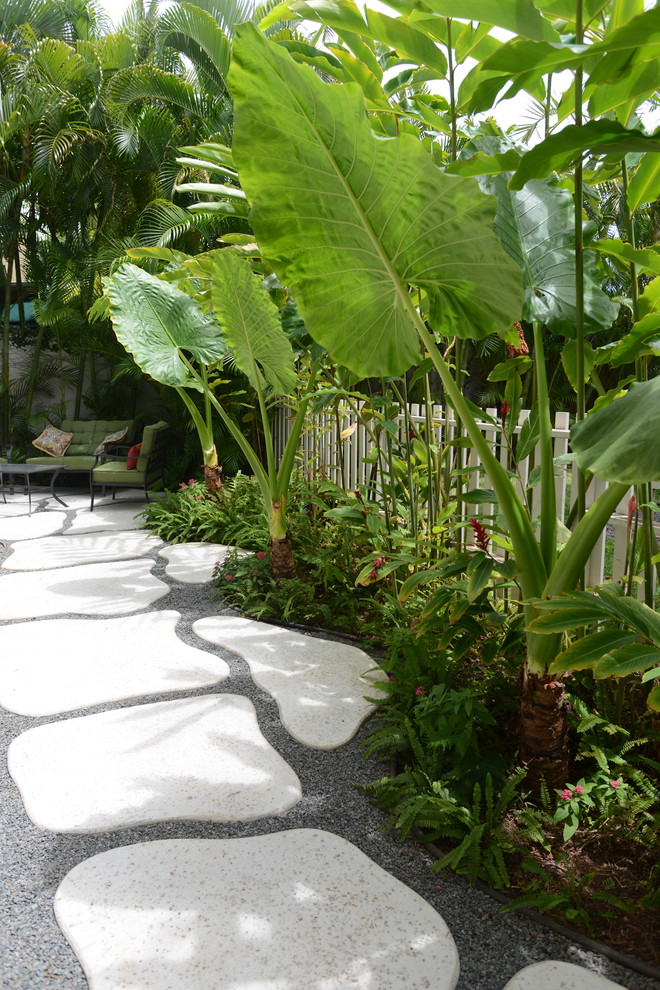 Inspiration för en mellanstor tropisk trädgård i delvis sol längs med huset på sommaren, med marksten i betong och en trädgårdsgång