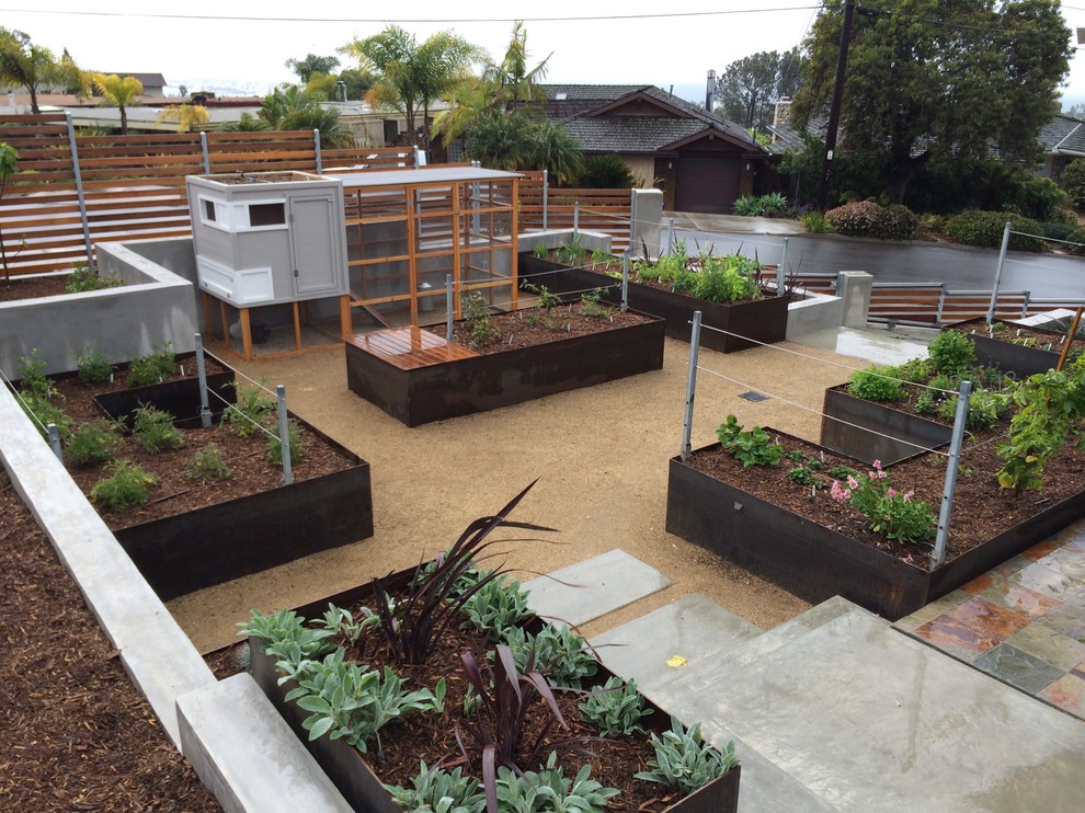 Medium sized contemporary garden in San Diego with a vegetable patch.