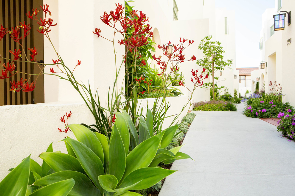 Inspiration för moderna trädgårdar i full sol gångväg, med marksten i betong
