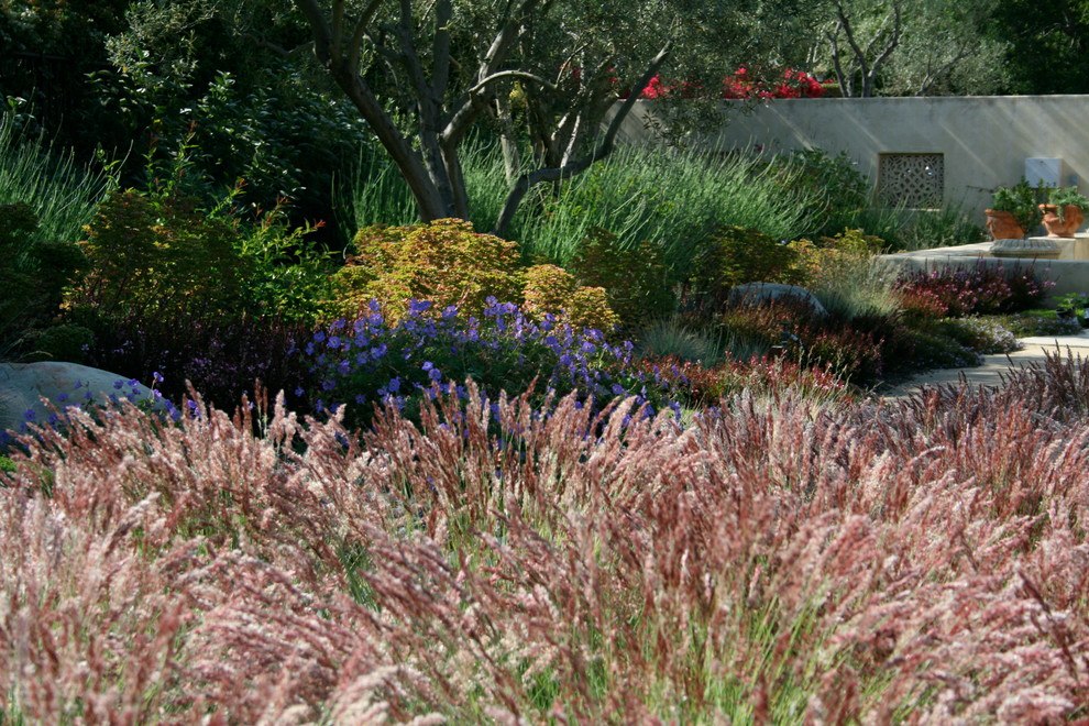 This is an example of a mediterranean garden in Santa Barbara.