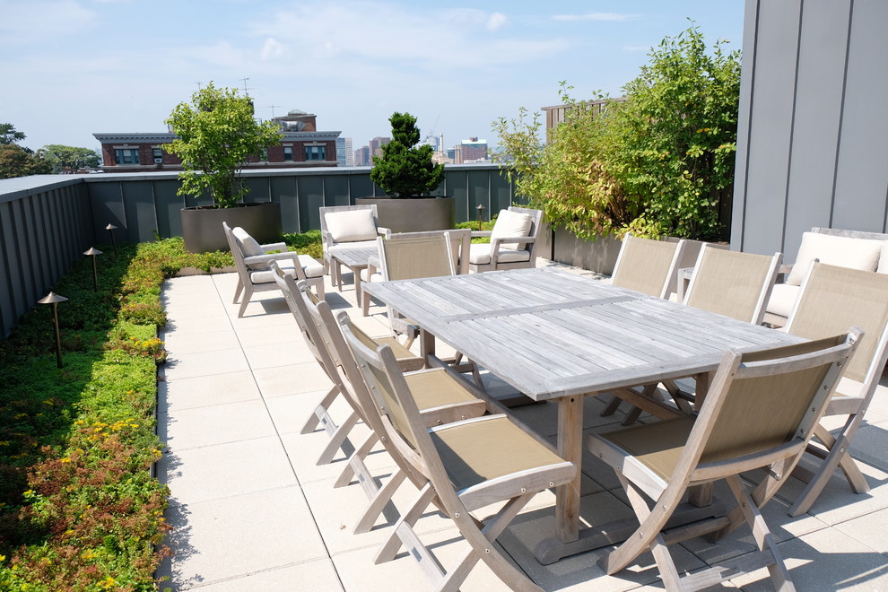Kleiner Moderner Dachgarten im Sommer mit Kübelpflanzen, direkter Sonneneinstrahlung und Betonboden in Boston