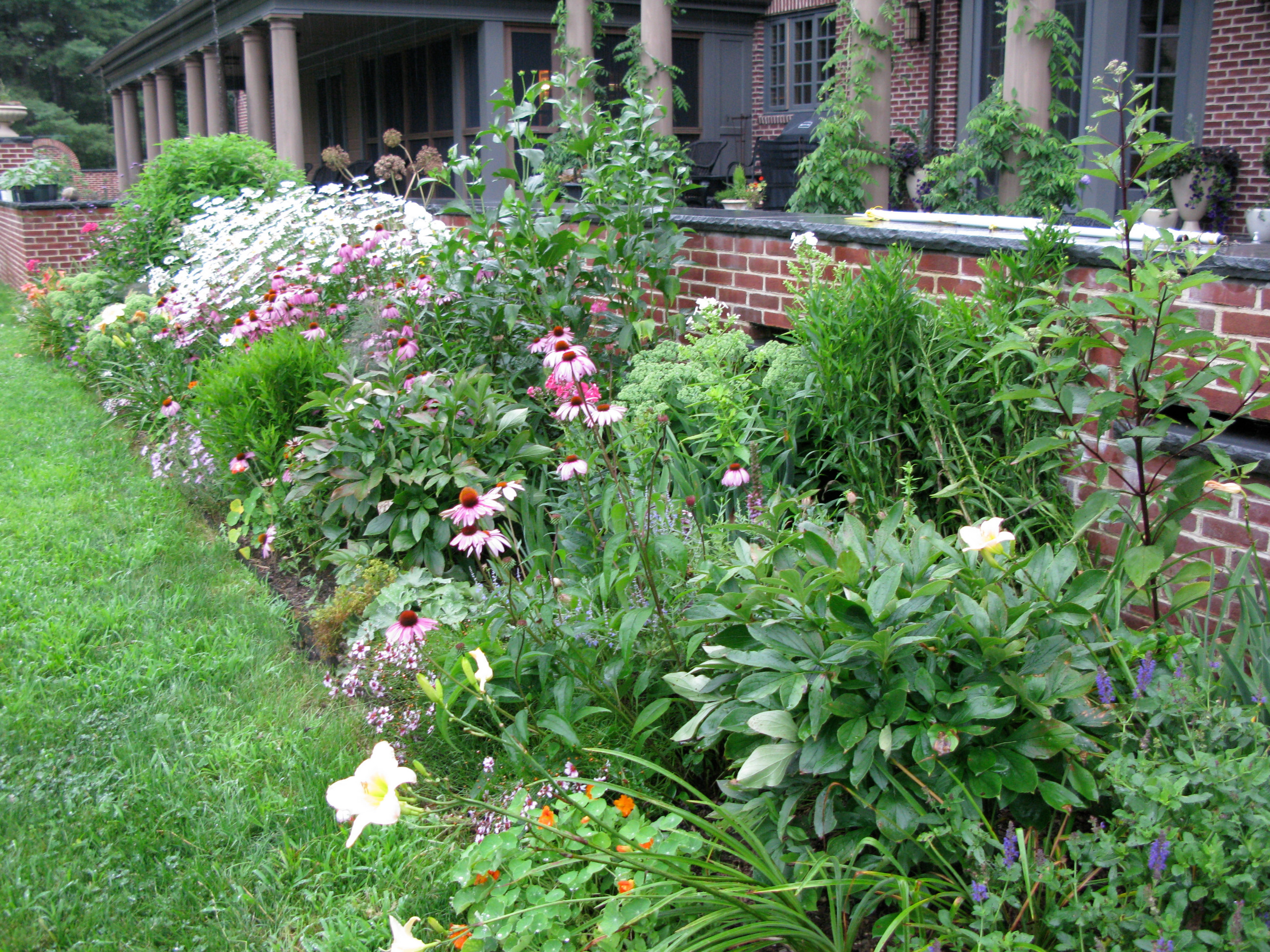 Perennial border with peonies, coneflower, sedum, daylilies, veronica,  lady's ma - Traditional - Landscape - Boston - by Natalie DeNormandie |  Houzz