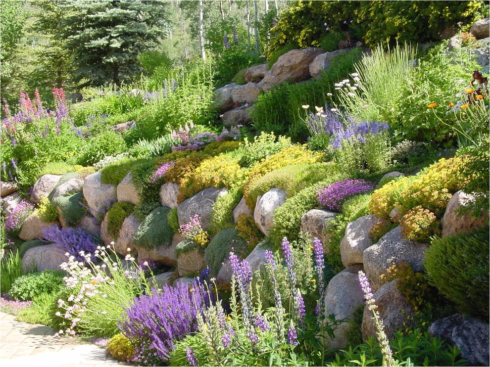 Perennial Gardens Landscape Denver by Colorado Alpines
