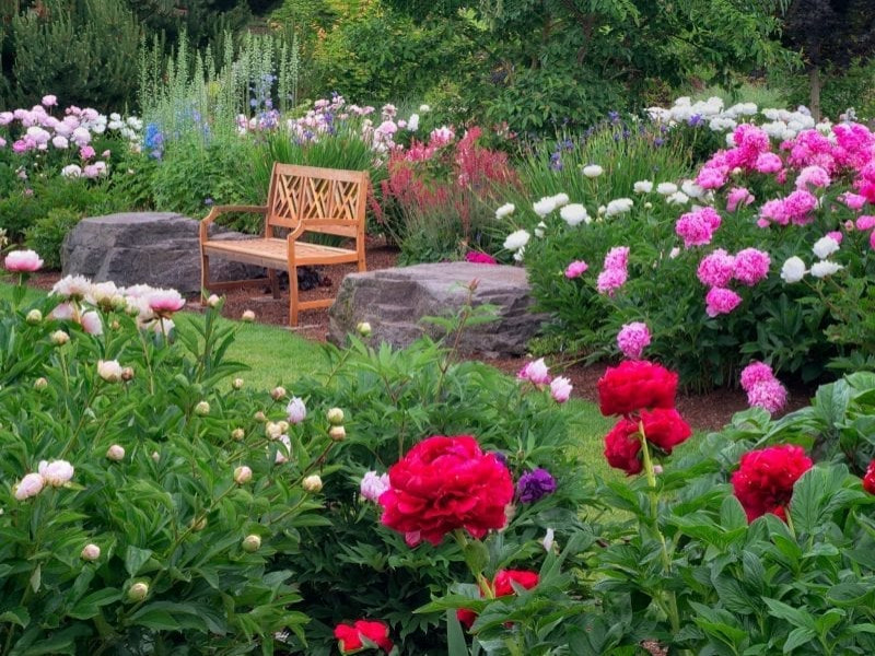 Geometrischer, Großer Klassischer Garten hinter dem Haus mit Blumenbeet und direkter Sonneneinstrahlung in New York