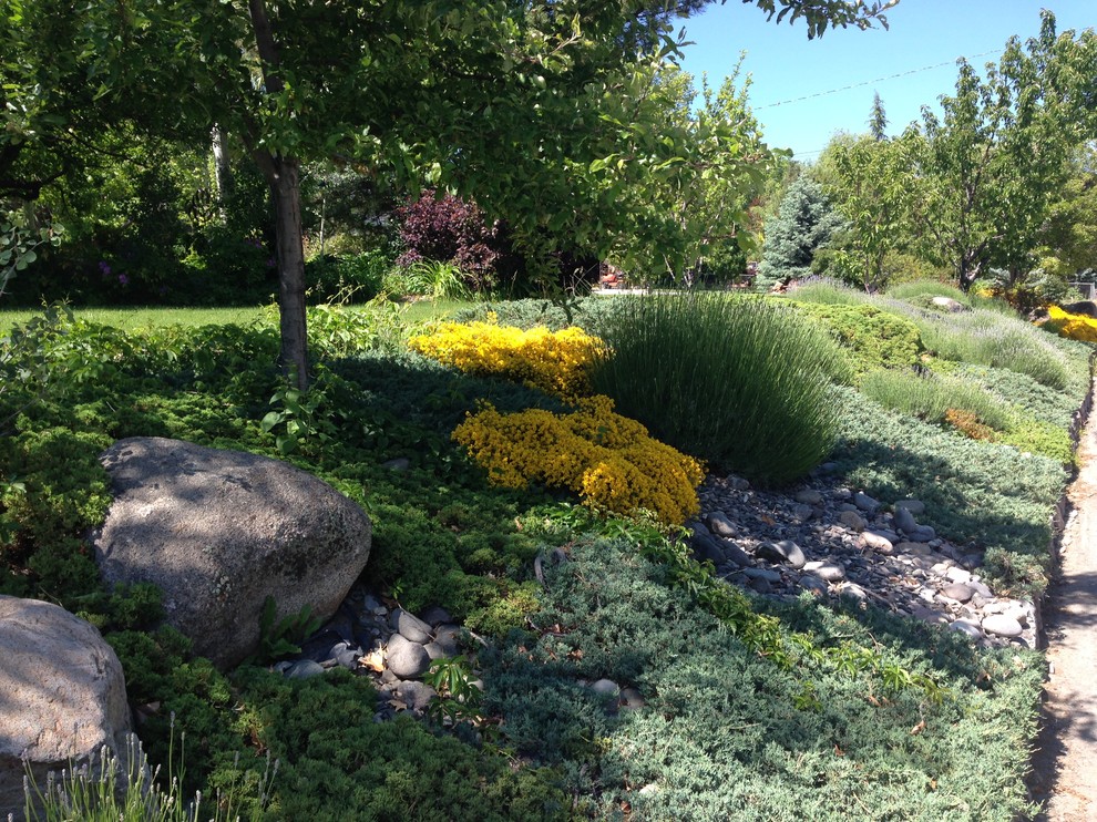 Idee per un giardino xeriscape esposto in pieno sole in primavera con un pendio, una collina o una riva