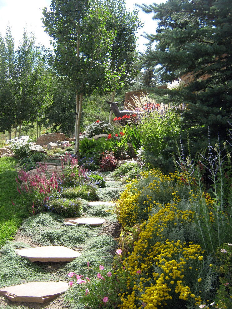 Perennial Plants & Perennial Gardens Landscape Denver by Colorado