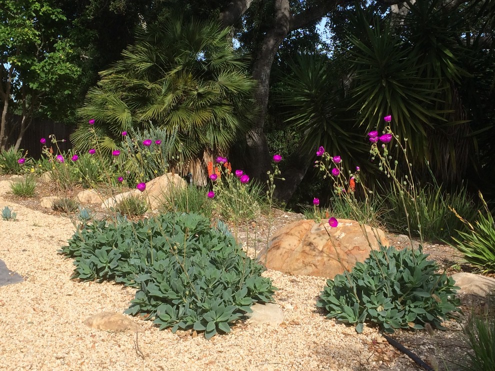 Ispirazione per un piccolo giardino xeriscape mediterraneo esposto in pieno sole dietro casa con un ingresso o sentiero e pavimentazioni in pietra naturale