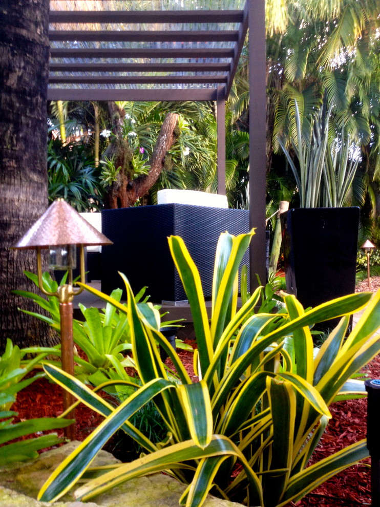 Photo of a tropical landscaping in Miami.