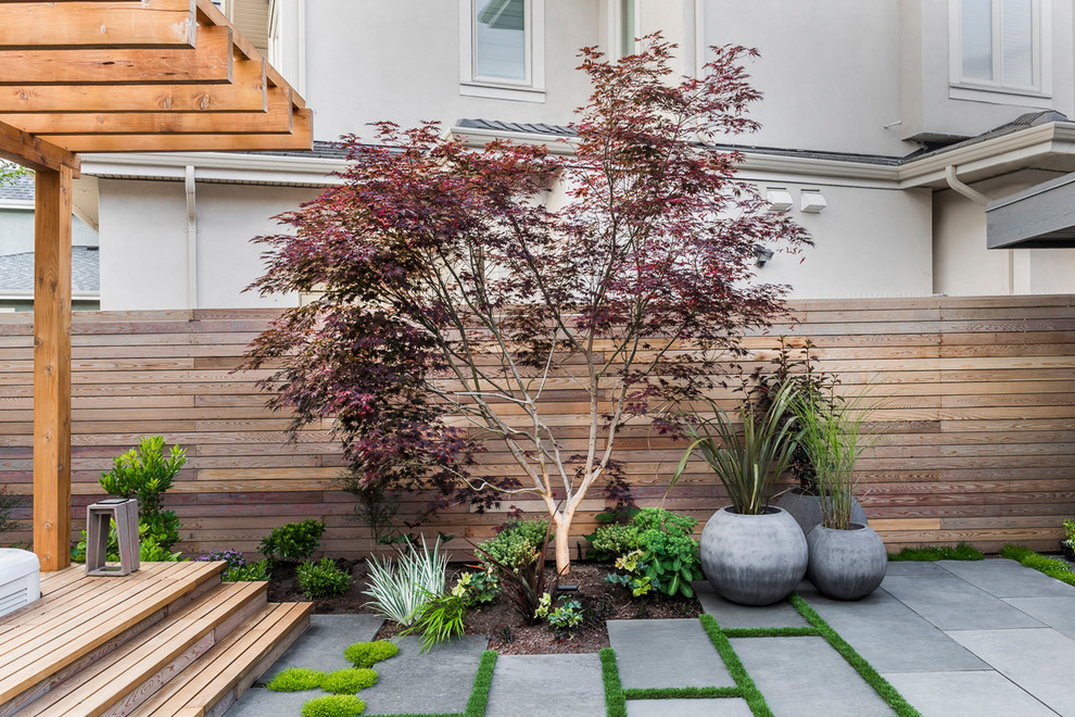 Pergolas Contemporary Landscape Vancouver by Theron Horton