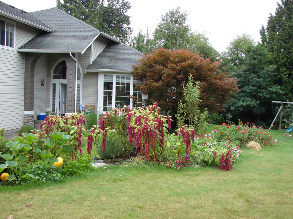 Large country side full sun garden in Seattle with a climbing frame and mulch.