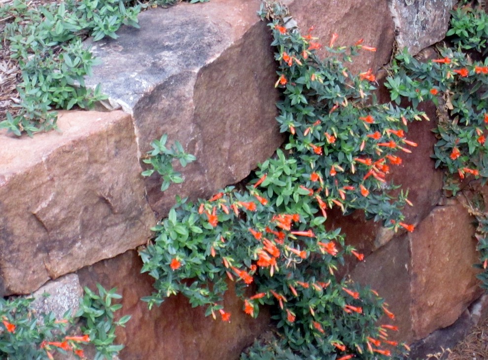 Inspiration for a mid-sized mediterranean drought-tolerant and full sun backyard stone landscaping in Albuquerque for summer.