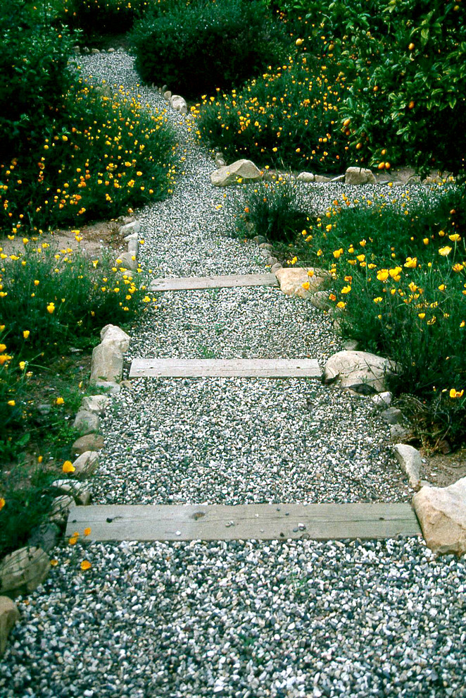 Photo of a medium sized rustic back xeriscape full sun garden for winter in Santa Barbara with a garden path and gravel.