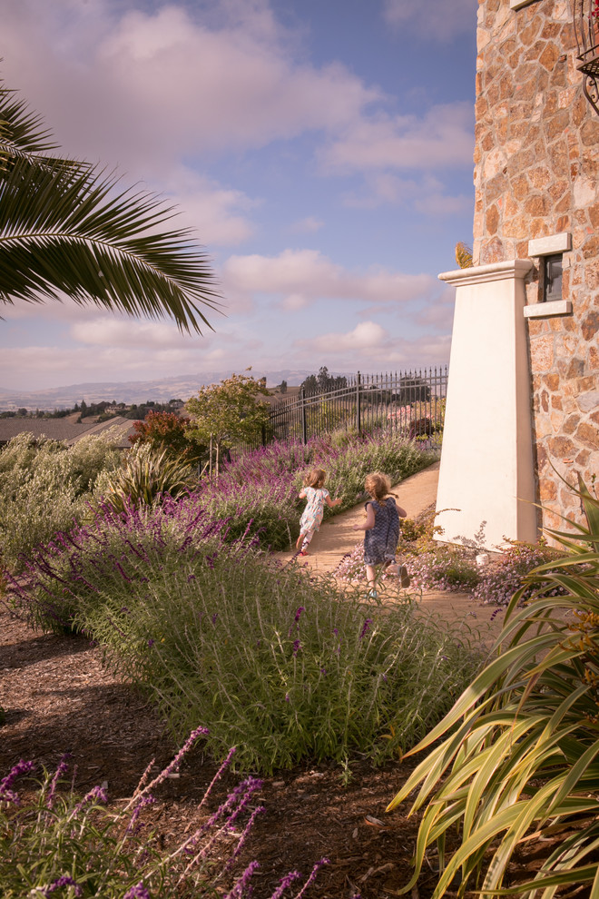 Пример оригинального дизайна: большой солнечный, весенний засухоустойчивый сад на переднем дворе в средиземноморском стиле с садовой дорожкой или калиткой, хорошей освещенностью и покрытием из гравия