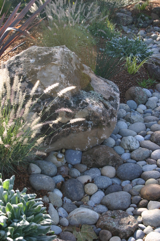 Foto de jardín de secano ecléctico grande en patio trasero con exposición total al sol y piedra decorativa