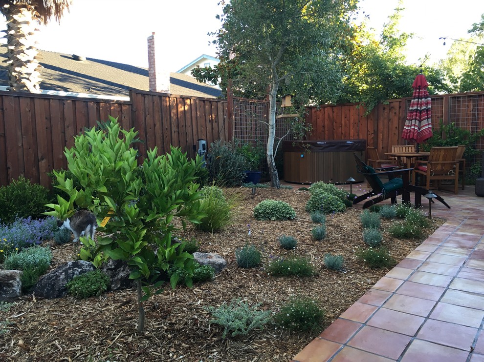 Imagen de jardín de secano mediterráneo pequeño en patio trasero