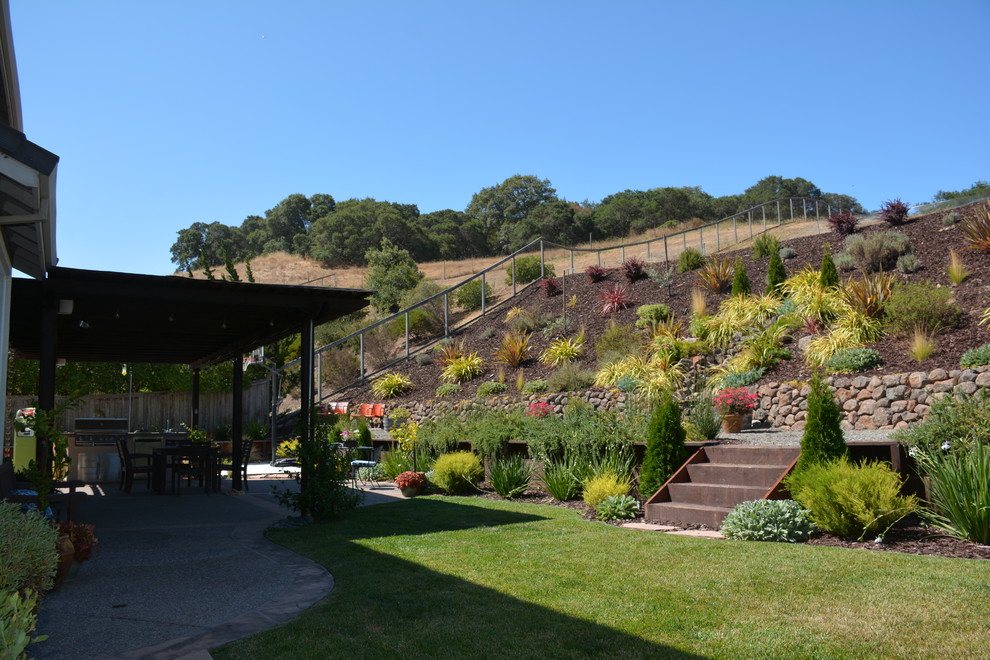 Foto di un grande giardino xeriscape mediterraneo esposto in pieno sole dietro casa con un ingresso o sentiero e ghiaia