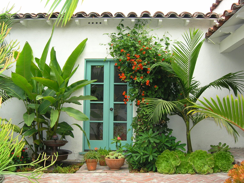 Foto de jardín tropical con adoquines de ladrillo