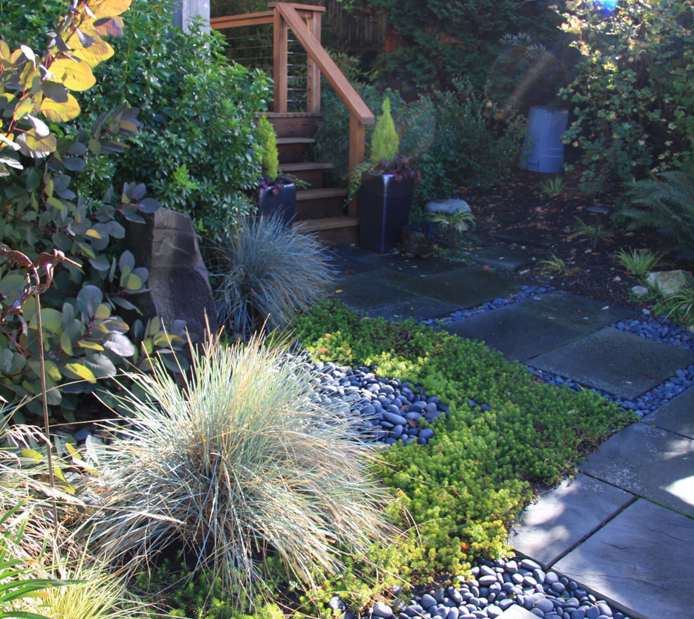 На фото: маленький регулярный сад на заднем дворе в стиле фьюжн с садовой дорожкой или калиткой и покрытием из каменной брусчатки для на участке и в саду