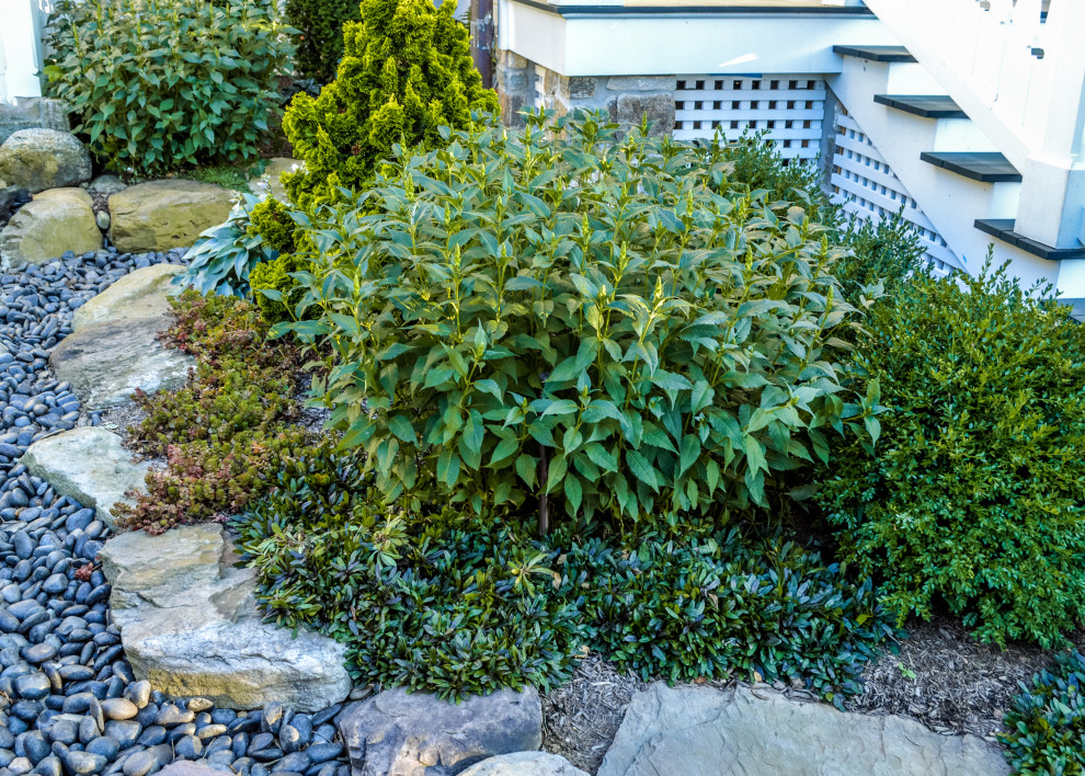 На фото: маленький весенний регулярный сад на боковом дворе в классическом стиле с перегородкой для приватности, полуденной тенью и покрытием из каменной брусчатки для на участке и в саду с