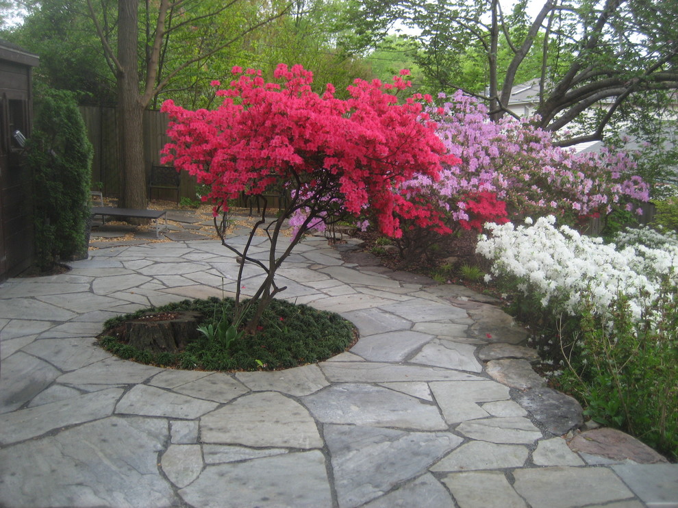Cette image montre un jardin arrière traditionnel de taille moyenne et au printemps avec une exposition partiellement ombragée et des pavés en pierre naturelle.