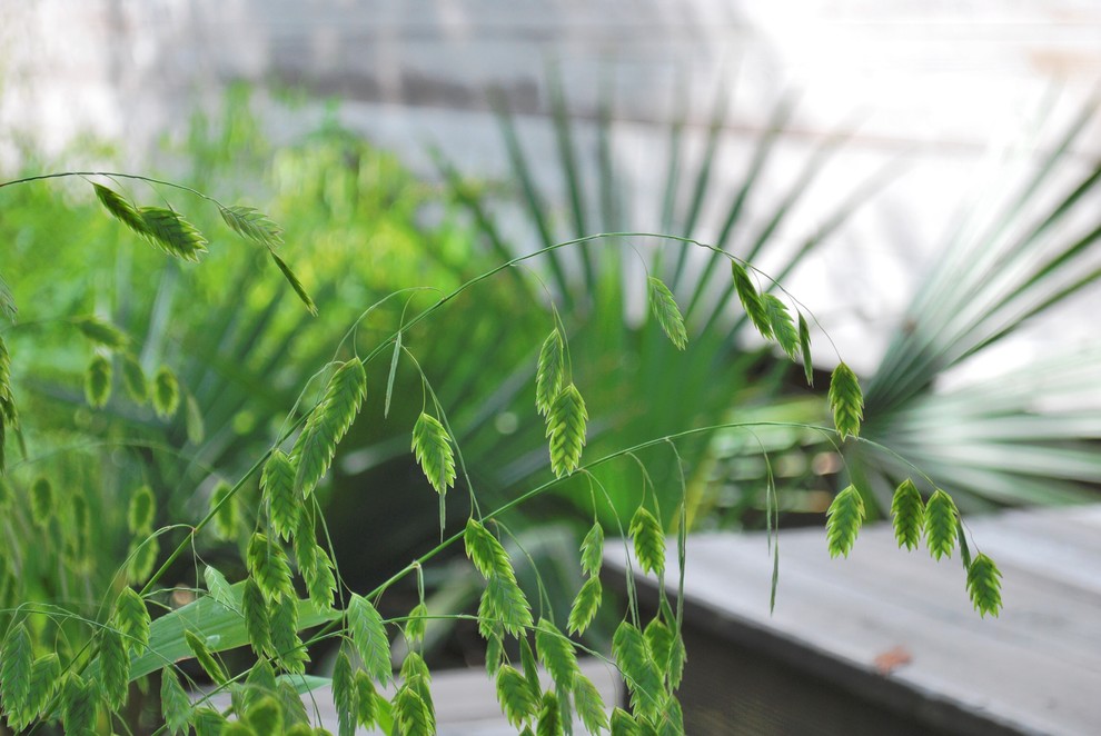 Picketts Harbor Contemporary Landscape Other by Jeff Klingel