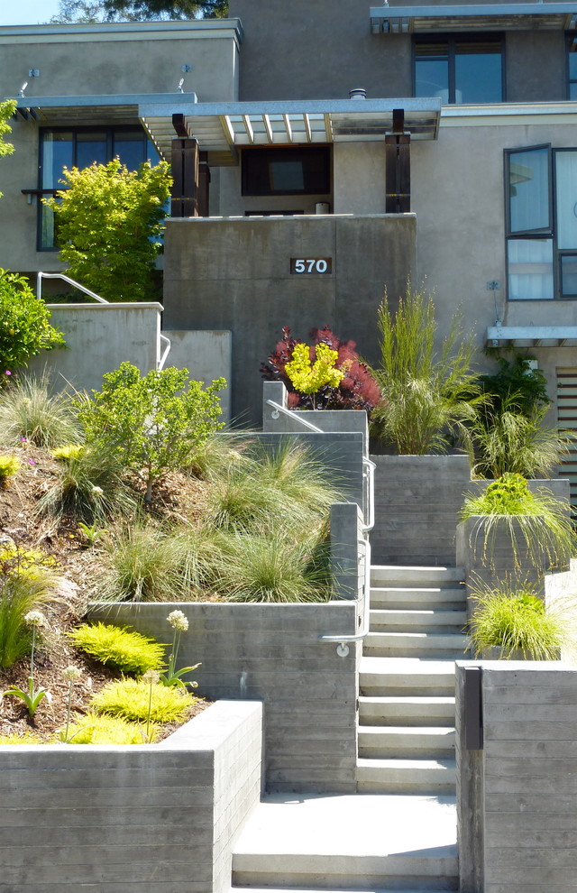 Foto di un giardino minimal davanti casa con scale