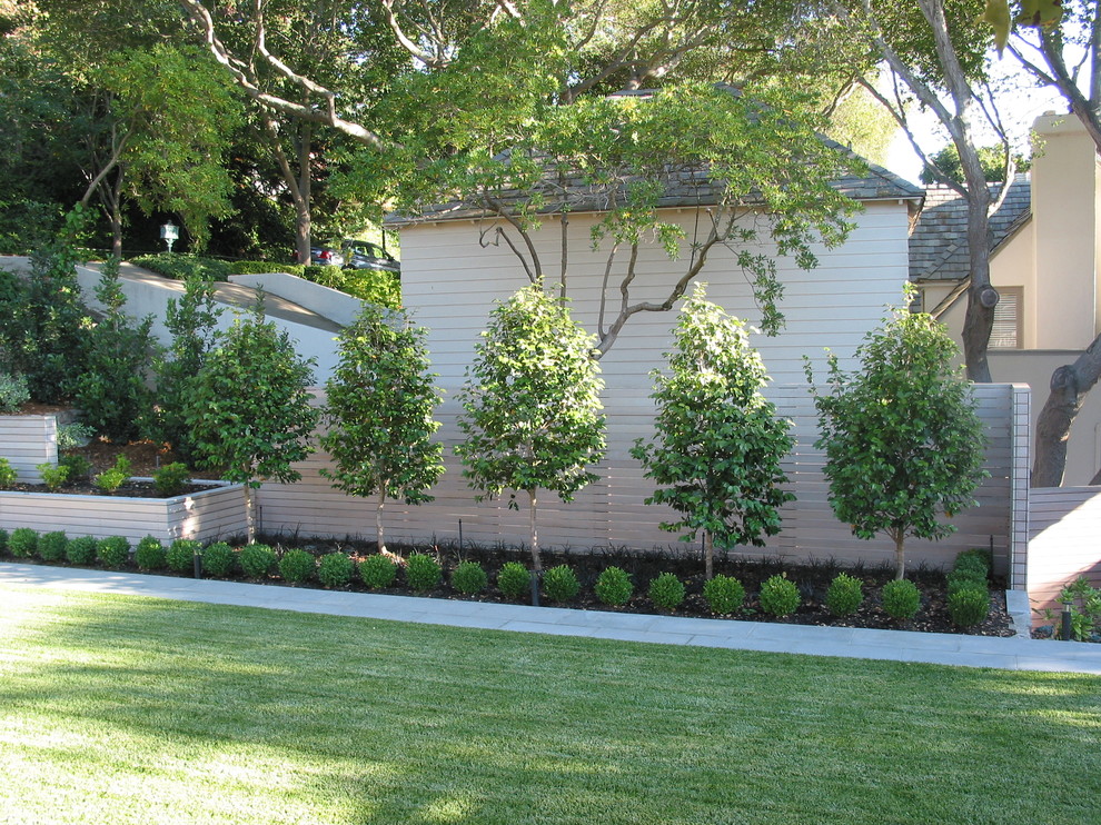 Exempel på en modern formell trädgård i delvis sol