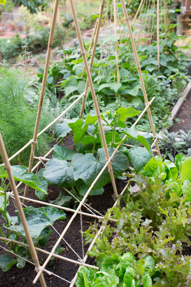 Pine House Edible Gardens Landscape San Francisco by Pine House