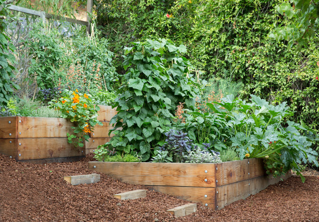 How to Get Good Soil for Your Edible Garden