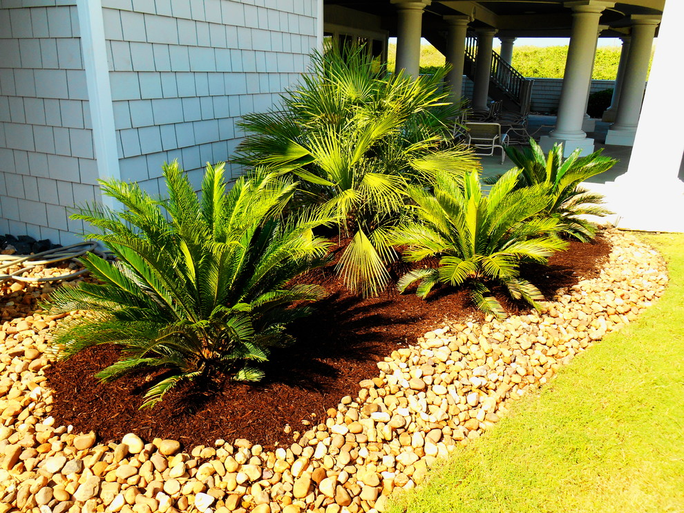 Photo of a tropical landscaping in Other.