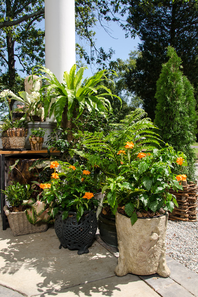 Пример оригинального дизайна: маленький осенний участок и сад на боковом дворе в стиле фьюжн с растениями в контейнерах, полуденной тенью и покрытием из гравия для на участке и в саду