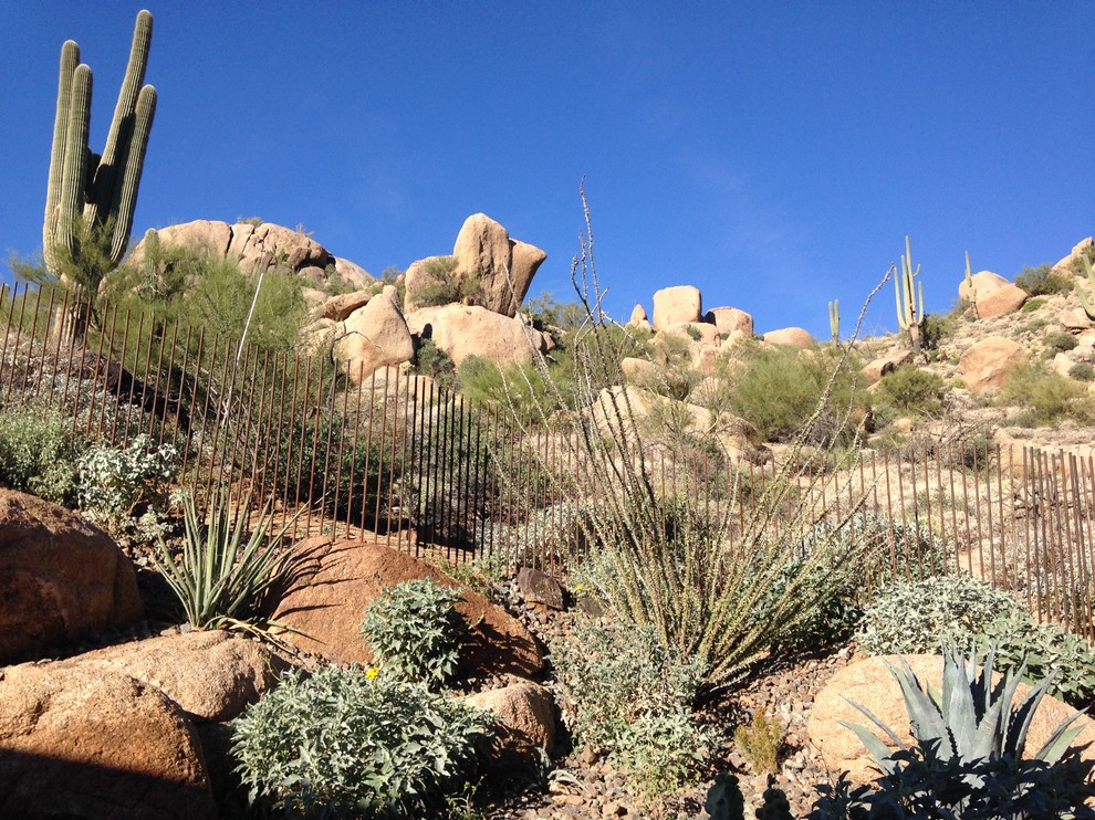 Design ideas for a huge modern drought-tolerant hillside landscaping in Phoenix.