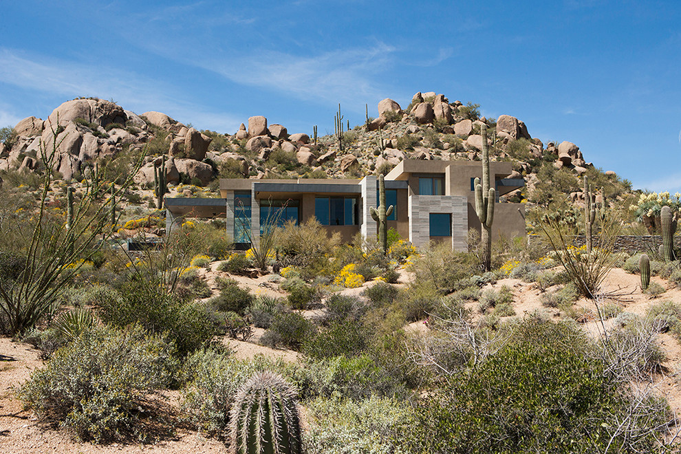 This is an example of a huge modern drought-tolerant hillside landscaping in Phoenix.