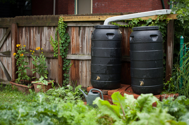 Water storage tanks used for rainwater can also be used for greywater as well. 