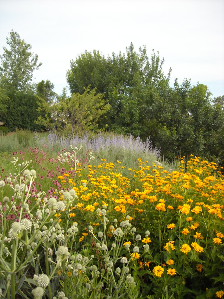Exemple d'un très grand jardin arrière montagne l'été avec une exposition ensoleillée.