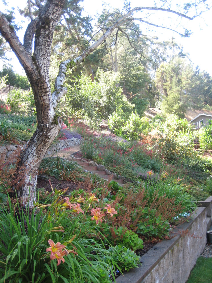 Imagen de jardín clásico de tamaño medio en verano en patio trasero con exposición parcial al sol y granito descompuesto