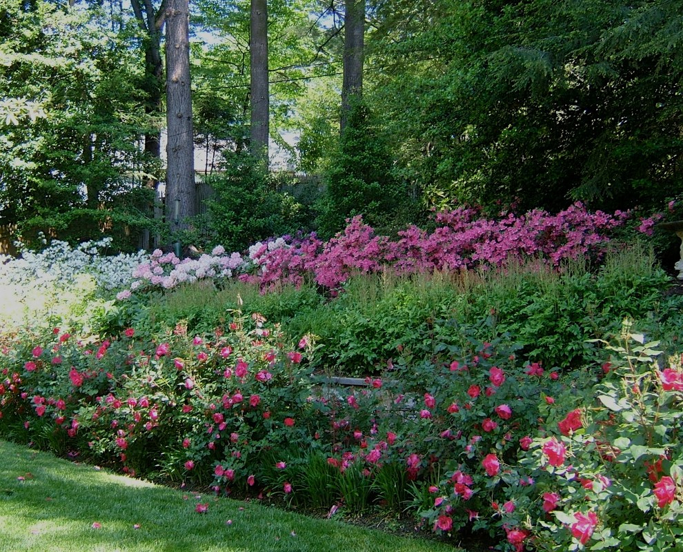 Inspiration for a mid-sized transitional partial sun garden path in DC Metro for summer.