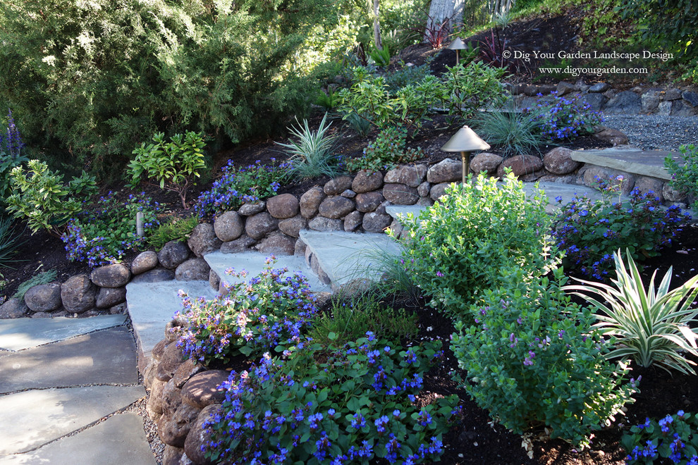 Plant Combinations Northern California Gardens Mediterranean