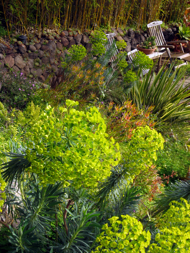 Idee per un ampio giardino xeriscape mediterraneo esposto a mezz'ombra in primavera con un pendio, una collina o una riva