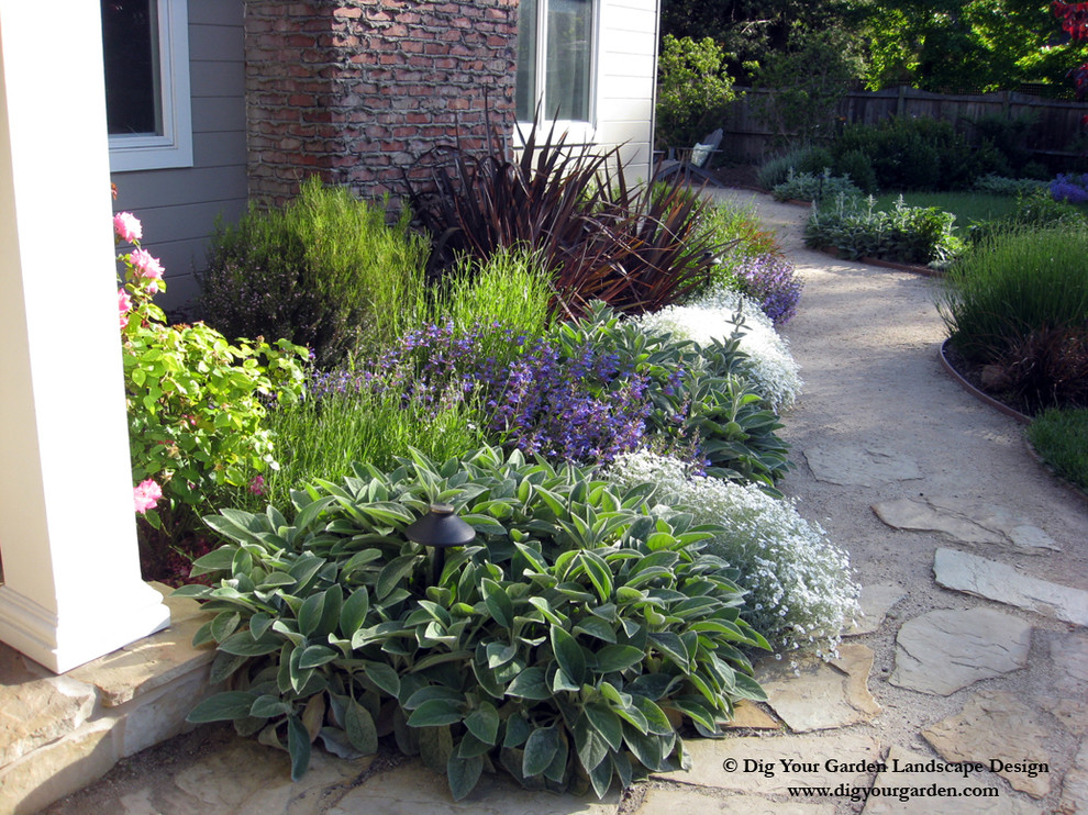 Plant Combinations Northern California Gardens Traditional Landscape San Francisco By Dig Your Garden Landscape Design Houzz