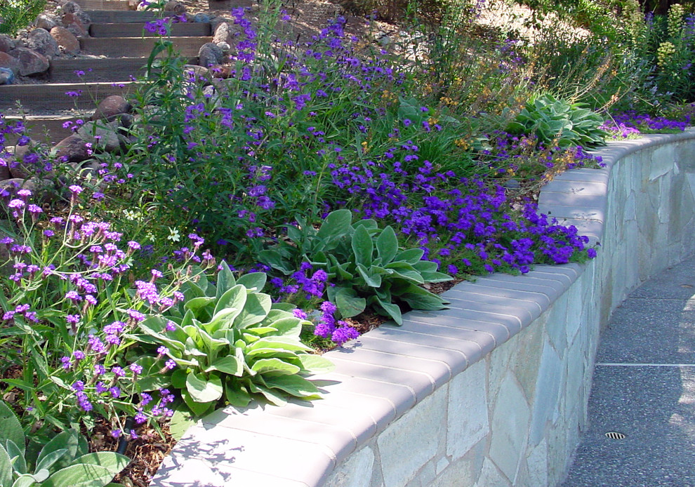 Plant Combinations Northern California Gardens Mediterranean