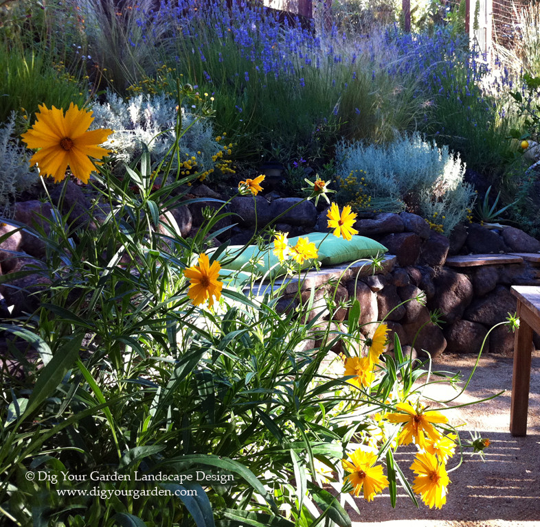 Halbschattiger Mediterraner Garten im Frühling in San Francisco