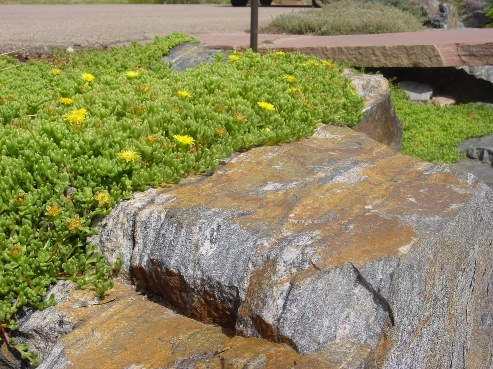 Immagine di un giardino rustico esposto in pieno sole di medie dimensioni e dietro casa con un ingresso o sentiero e pavimentazioni in pietra naturale