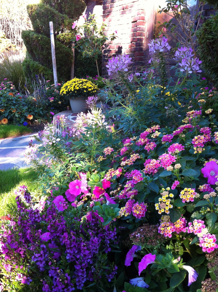 Inspiration för mellanstora klassiska trädgårdar i full sol framför huset på sommaren, med utekrukor
