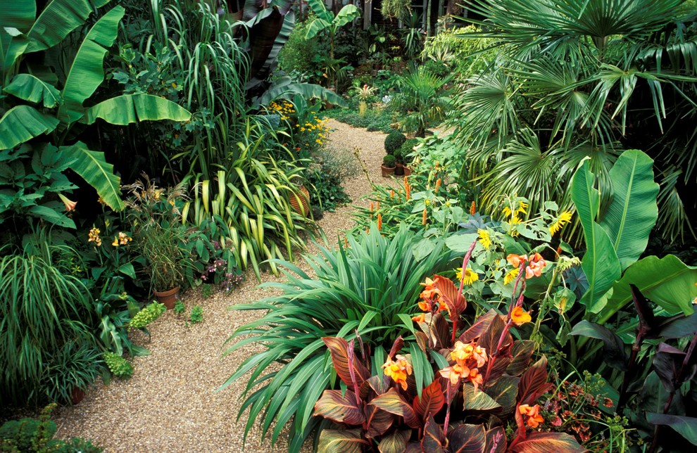 Ispirazione per un giardino formale tropicale con un ingresso o sentiero e ghiaia